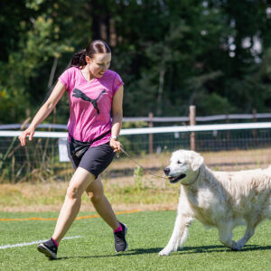 TEHOTUNTI: Näyttelytreeni