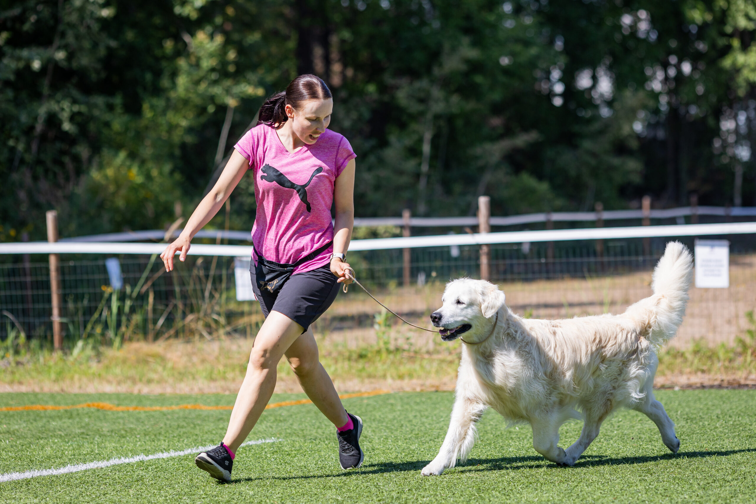TEHOTUNTI: Näyttelytreeni