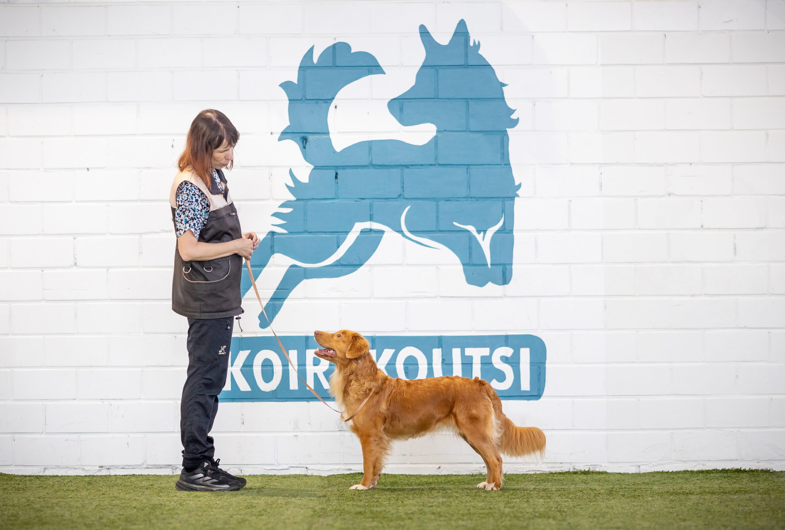 Näyttelykurssi pennuille